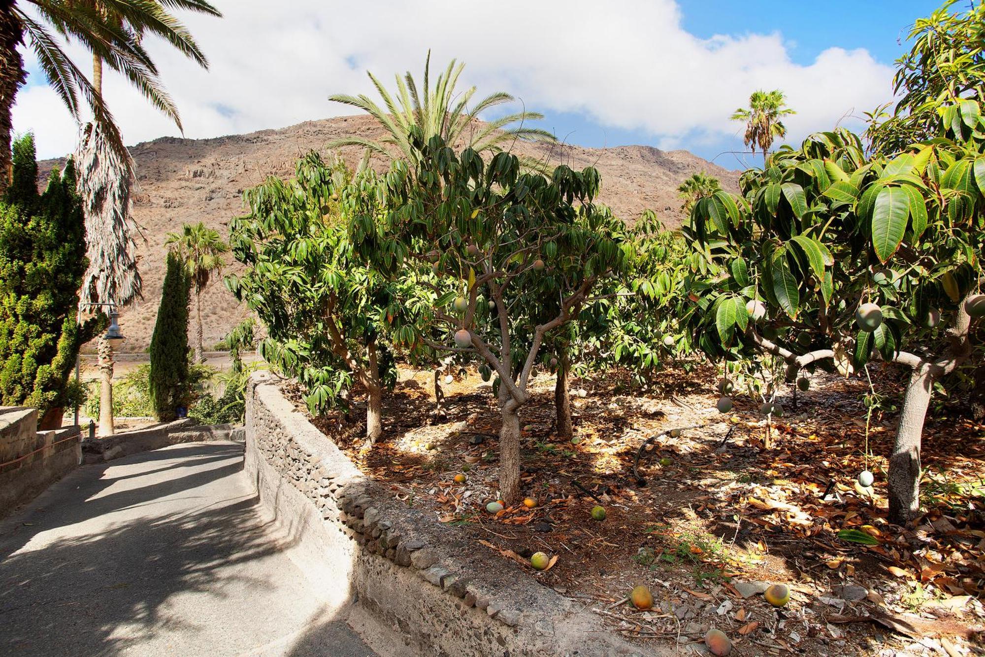 Villa Casa Paraiso Del Molinero à Mogán Extérieur photo